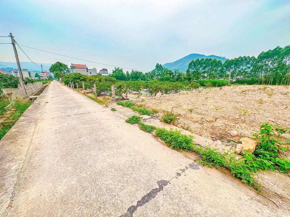 Đất nền Lục Nam 127m² giá 600 triệu - Lô góc 2 mặt tiền, chính chủ bán!