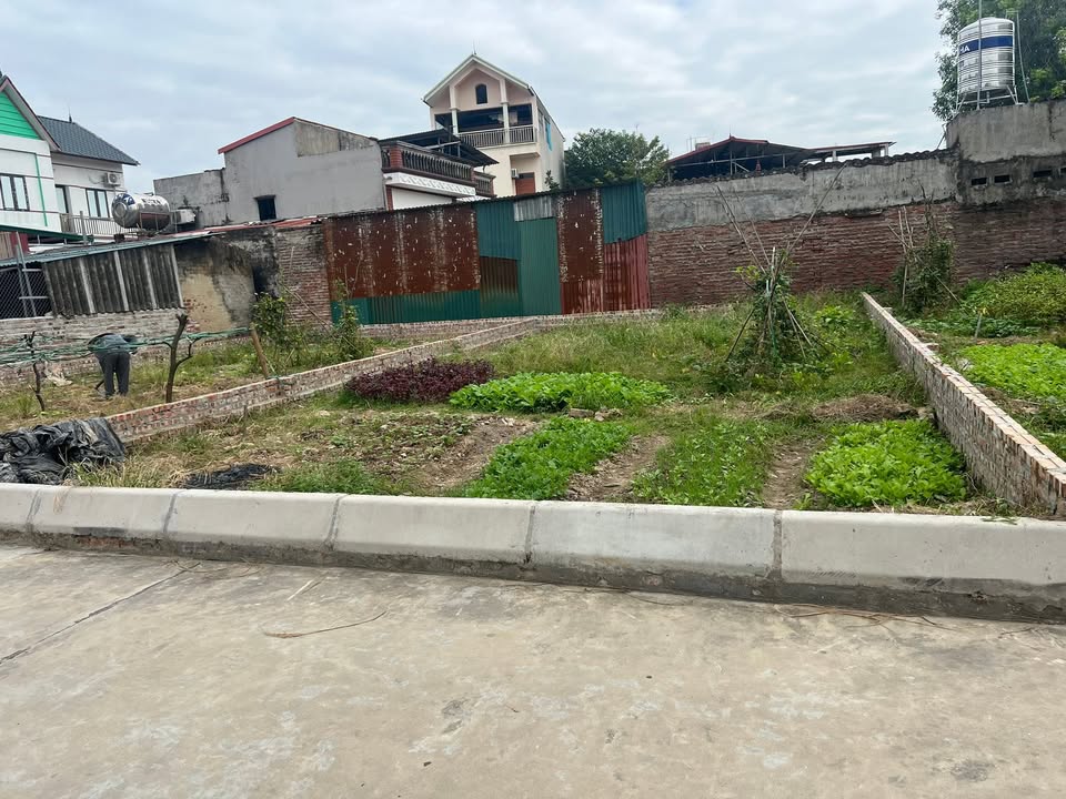 Đất thổ cư Mai Đình 97m² giá thỏa thuận - Duy nhất lô đẹp, vị trí trung tâm!