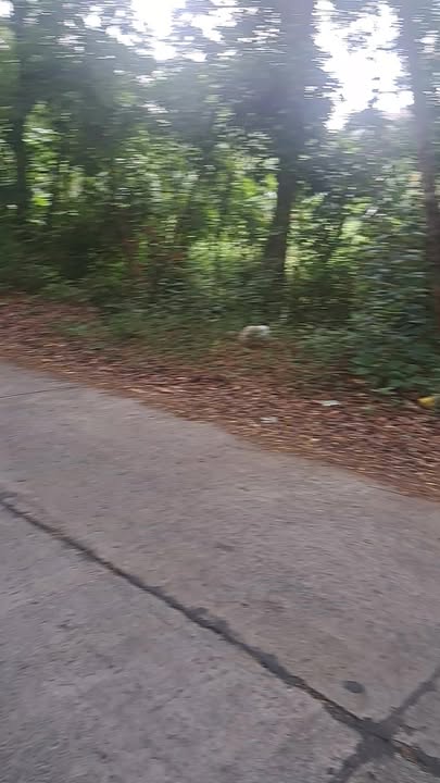 Đất mặt tiền đường Hồ Ta Lọt Tri Tôn 1400m² - Cần ra gấp!