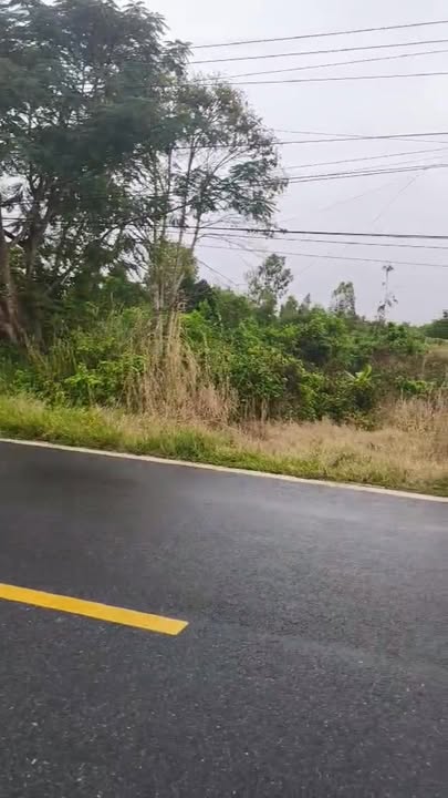 Đất thổ cư 600m² mặt tiền đường ĐT958, huyện Tri Tôn, giá 5 tỷ - Đầu tư sinh lời hấp dẫn!