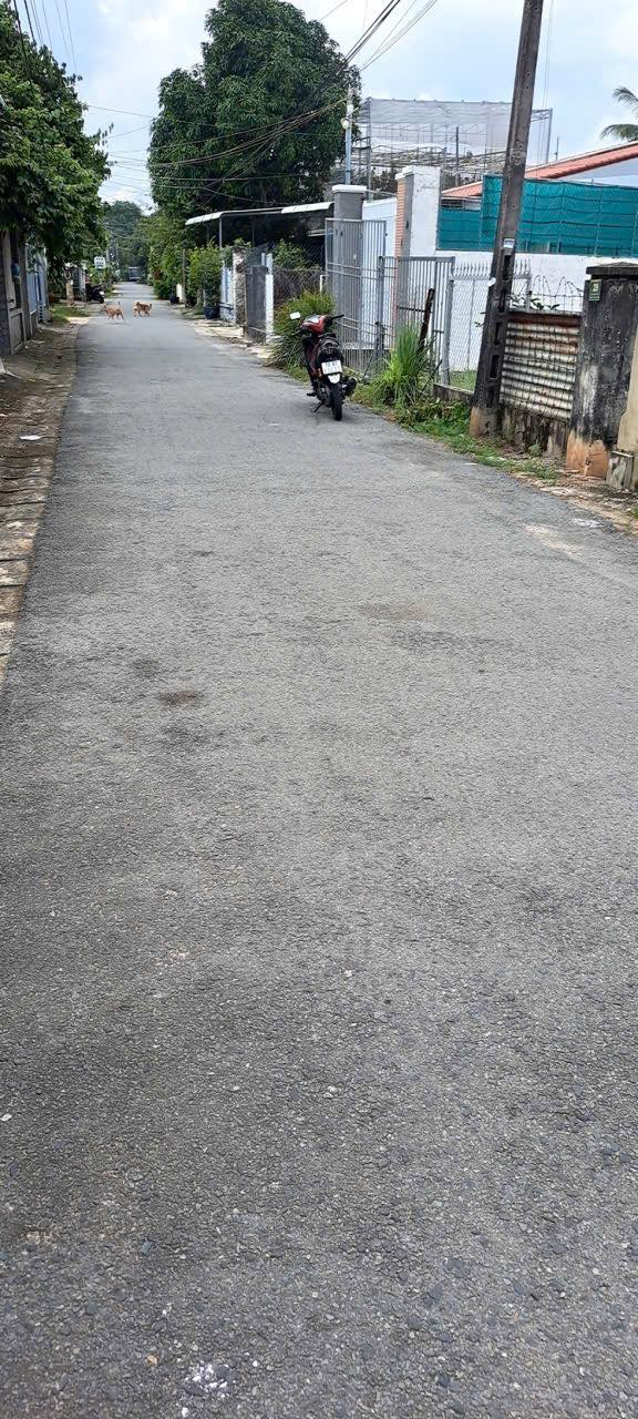 Đất hẻm 46 CMT8, Phường 3, Tây Ninh 489m² giá 6.105 tỷ - Gần chợ, tiện ích đầy đủ!