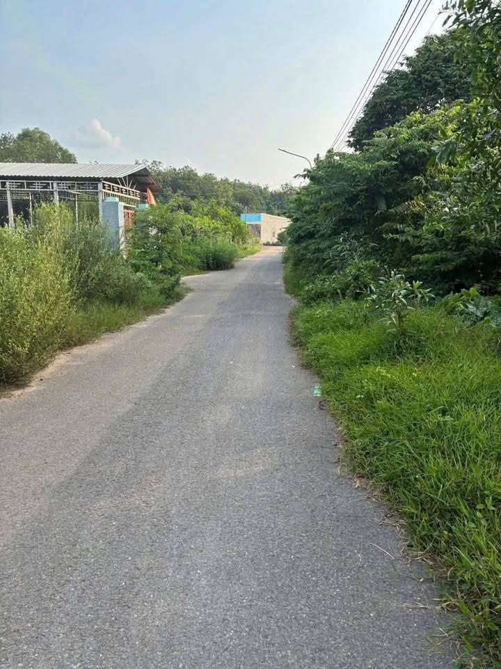 Đất mặt tiền Phú An, Bến Cát 190m² giá 1.35 tỷ - Cơ hội đầu tư tuyệt vời!