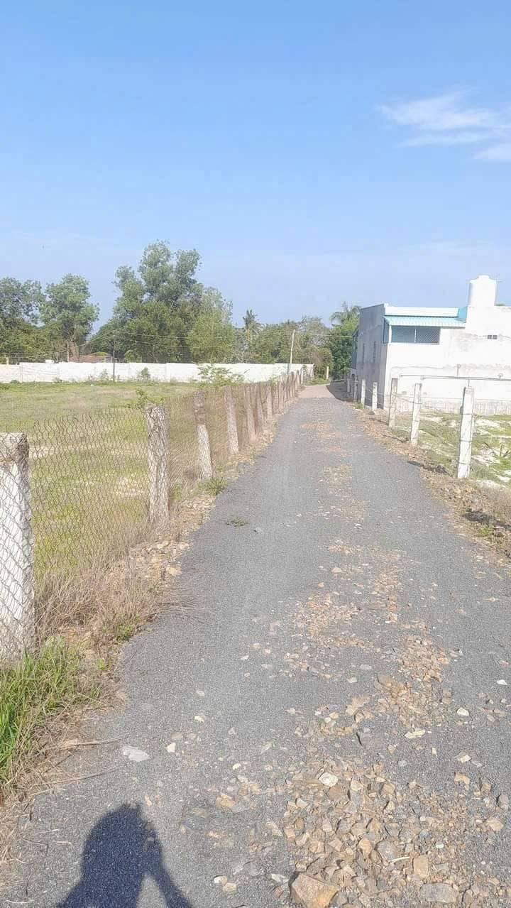 Đất Farm 3.8 sào tại Hàm Đức, 1.62 tỷ - Khu dân cư đông đúc, tiện lợi!