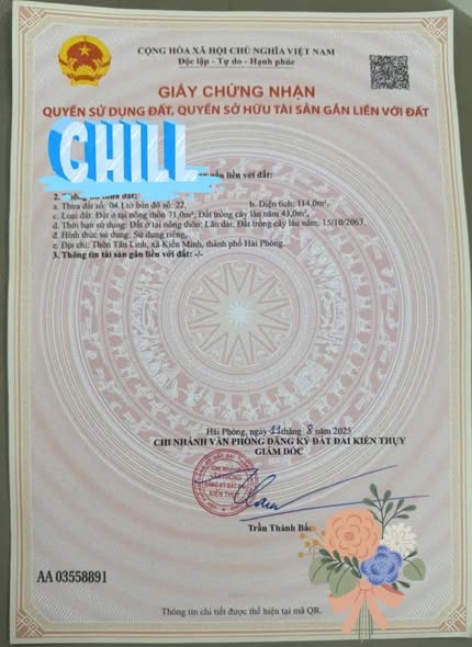 Đất nền Minh Tân, Kiến Thụy 114m² giá 1.2 tỷ - Vị trí đắc địa, ô tô vào tận nơi!