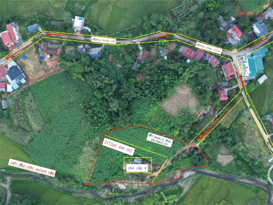 Đất Farm Tân Lập, Thanh Sơn 4600m² - Cơ hội nghỉ dưỡng lý tưởng!