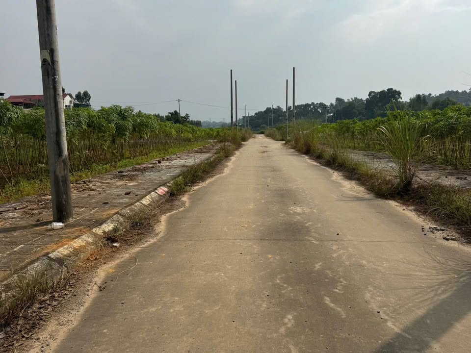 Đất đấu giá Tiên Kiên, Lâm Thao 100m² - Nằm cạnh trục chính KCN Thụy Vân!