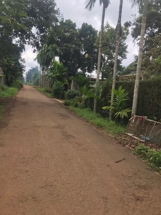 Đất nền khu phố 8, phường Tân An, Buôn Ma Thuột 125m² giá 700 triệu - Cơ hội đầu tư hiếm có!