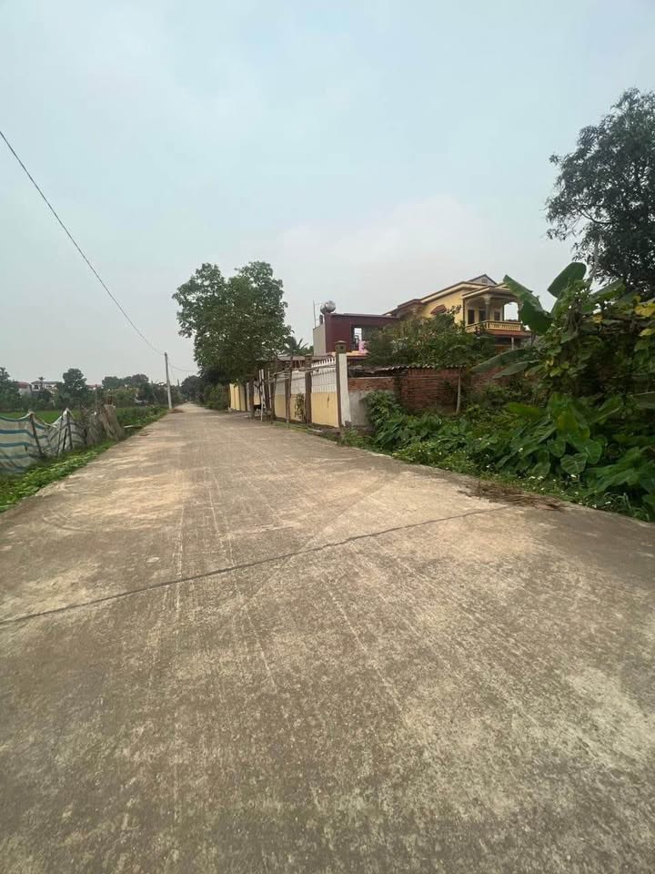 Đất nền Tân Dân, Sóc Sơn 137m² giá tốt - Tiềm năng đầu tư lớn!