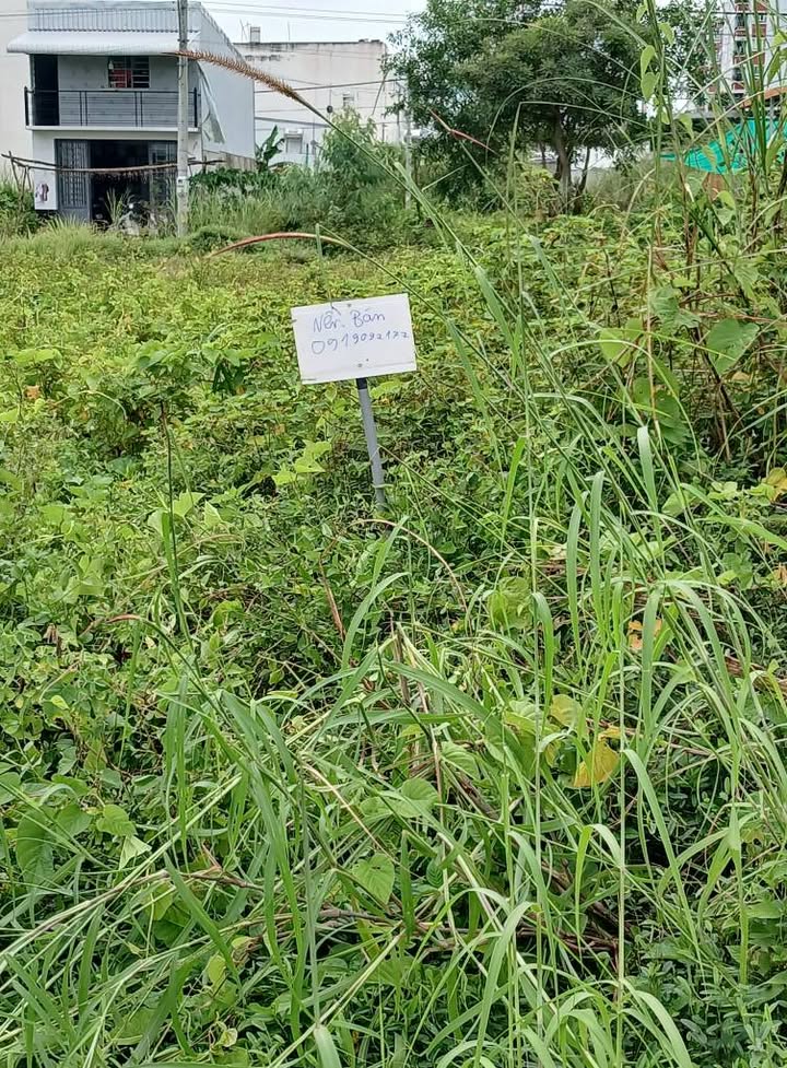 Đất nền khu Tây Đại Học, Mỹ Hòa, Long Xuyên 63m² giá 1.5 tỷ - Cơ hội đầu tư sinh lời!