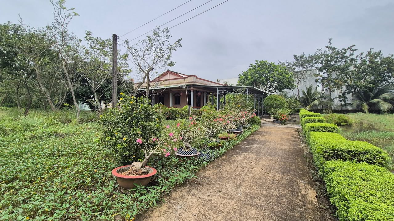 Bán Căn Nhà Vườn Gỗ 3500m² tại Xã Rạch Kiến, Cần Đước - Sổ Hồng Riêng, Giá 17 Tỷ