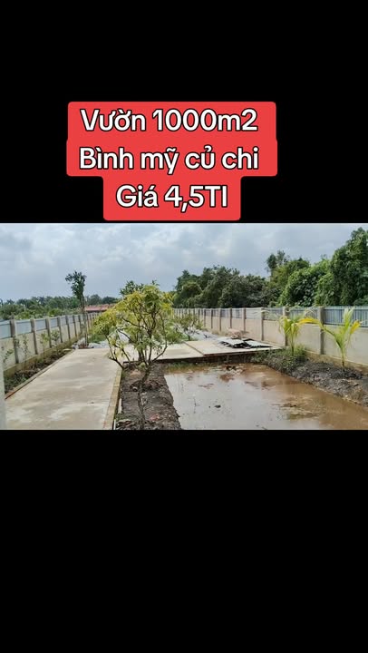 Đất vườn 2 mặt tiền đường 174 và sông, Bình Mỹ, Củ Chi - Cơ hội đầu tư lý tưởng!