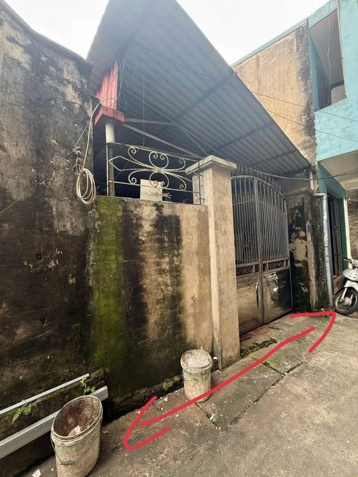 Đất nền Đình Bảng Từ Sơn 50m² giá thỏa thuận - Sổ hồng chính chủ!