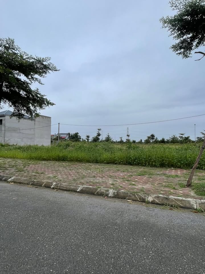 Đất nền thổ cư Đồng Đỗ, Chí Linh 100m² giá 1.1 tỷ - Đầu tư sinh lời ngay!