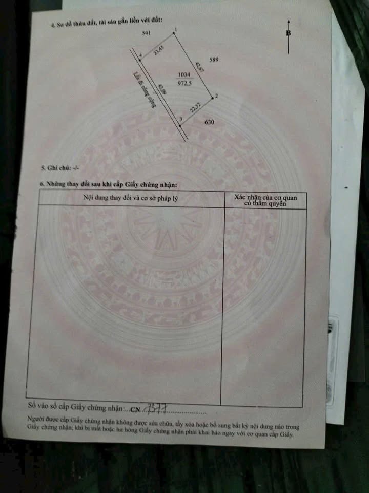 Đất lúa 972m² xã Tân Lân, Cần Đước - Giá chỉ 420 triệu, thương lượng!