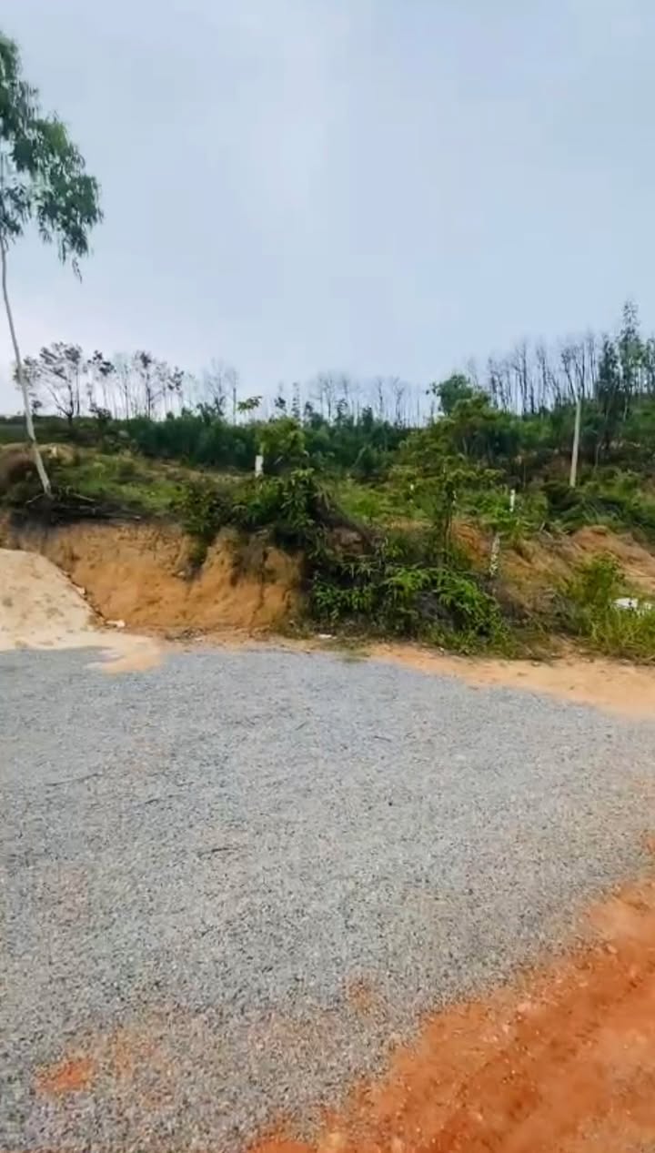 Đất nền Hùng Thắng, Hạ Long 6539m² giá 65 tỷ - Đường ô tô rộng rãi