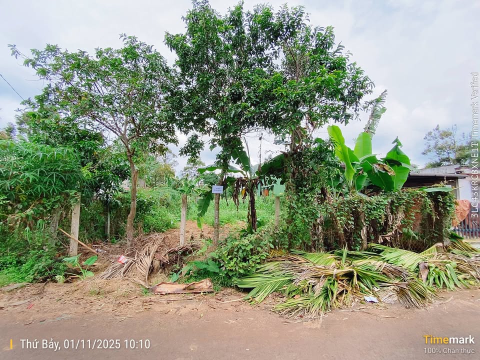 Đất nền chính chủ tại Tân An, Buôn Ma Thuột 560m² chỉ 3,7 tỷ - Đầu tư sinh lời!