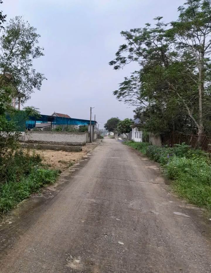 Đất Nghi Thạch 300m² giá 4.38 tỷ - Gần đại lộ Vinh Cửa Lò!