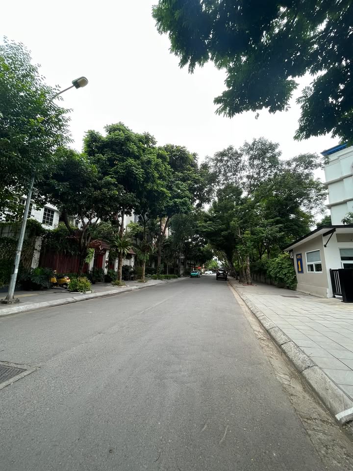 Đất nền 54m² đường Nguyễn Khang, Cầu Giấy giá 9.5 tỷ - Sổ đỏ chính chủ!