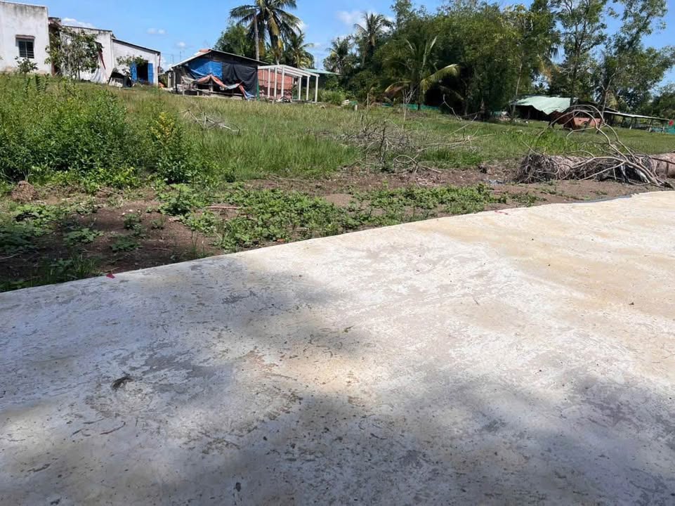 Đất thổ cư 376m² xã Bình Trinh Đông, Tân Trụ - Giá chỉ 650 triệu!