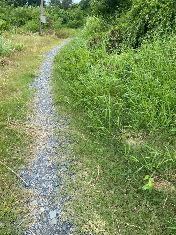 Đất thổ cư Hòa Phú, Châu Thành, Long An 120m² giá 590 triệu - Sổ hồng chính chủ!