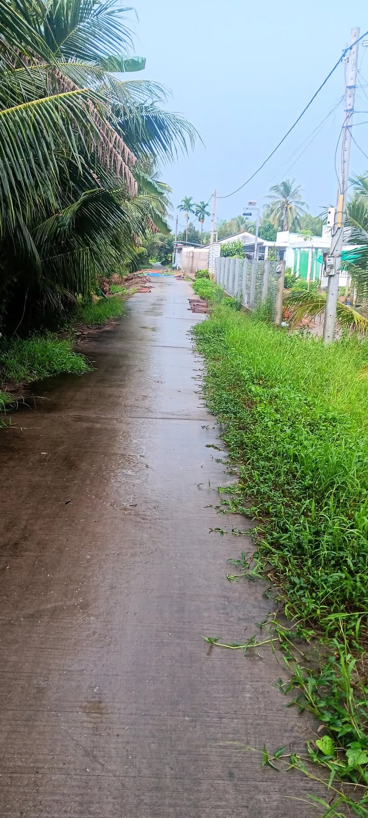 Đất nền Mỹ Thạnh Trung 390m² giá thỏa thuận - Đường bê tông thuận lợi!