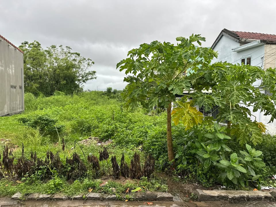 Nhà riêng Nguyễn Tất Thành, Tuy Hòa 87,7m² giá 1,5 tỷ - Cơ hội đầu tư sinh lời!