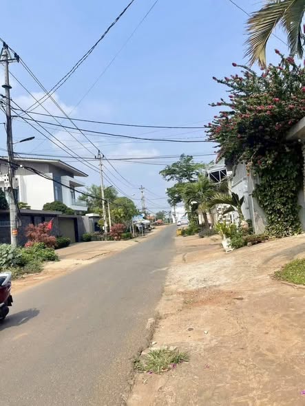 Đất mặt tiền Đỗ Xuân Hợp, Tân Lợi, 110m² giá 3.8 tỷ - Cơ hội đầu tư hiếm có!