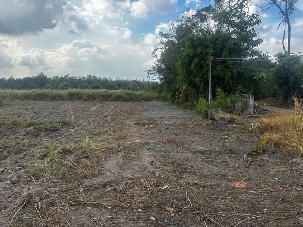 Đất nền ấp Trảng Sa, xã Hưng Thuận, 1090m² giá 980 triệu - Cơ hội đầu tư tốt!