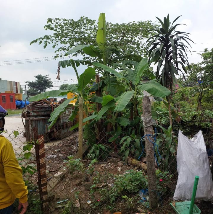 Đất thổ cư Hương Phước, Biên Hòa 108m² giá 750 triệu - Cơ hội đầu tư hiếm có!