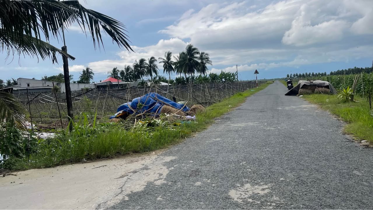 Đất mặt tiền lộ DAL 2 tấn 500, 1.000m² giá 320 triệu - Cơ hội đầu tư hiếm có!