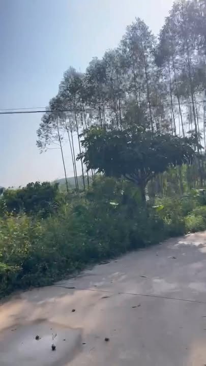 Đất vườn Vô Tranh, Lục Nam 1700m² giá 1.9 tỷ - Cơ hội đầu tư hấp dẫn!