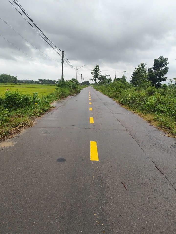 Đất ruộng Nhơn Hậu, An Nhơn 600m² - Giá chỉ 1xx triệu, cơ hội đầu tư rõ ràng!