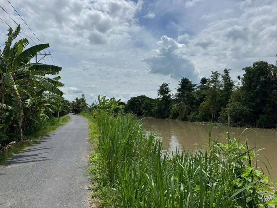 Đất ruộng 30 công Vĩnh Thành, Châu Thành - Đầu tư sinh lời ngay!