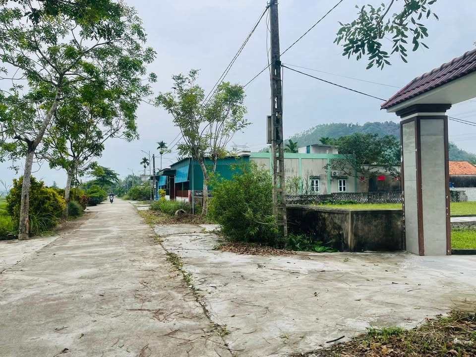 Đất nền Tân Thành Yên Thành 689m² giá 800 triệu - Đầu tư sinh lời ngay!