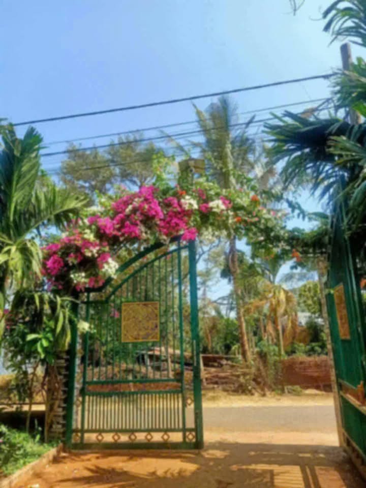 Lô Đất Mặt Tiền Đường Nhựa Tại Tân Lập, Buôn Ma Thuột 1790m² Giá 11 Tỷ - Cơ Hội Đầu Tư Sinh Lời Cao!