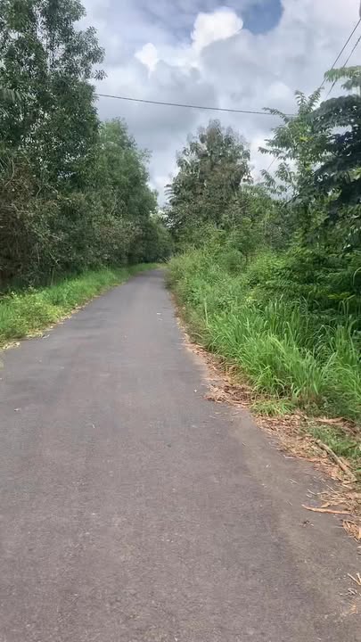 Đất nền Tân Tiến Bù Đốp 2100m² giá 600 triệu - Cơ hội đầu tư tuyệt vời!