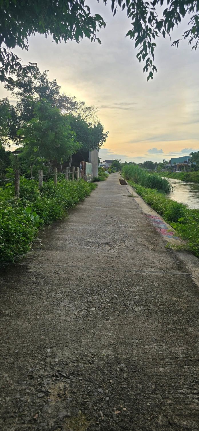 Đất nền Phước Hưng Tuy Phước 73m² giá chỉ 3XX triệu - Vị trí đẹp gần trường và chợ!