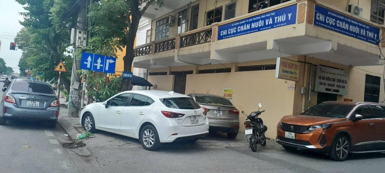 Đất nền trung tâm Việt Trì 201m² giá chỉ từ 5x triệu/m² - Cơ hội đầu tư sinh lời cao!