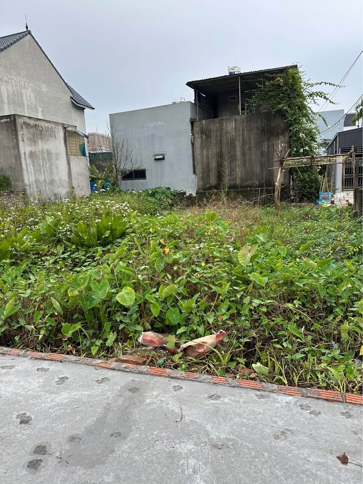 Đất nền Kiều Đông, Hồng Thái, An Dương 62m² giá 1 tỷ - Đầu tư sinh lời ngay!