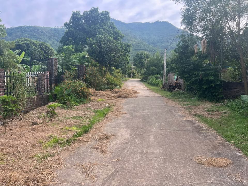 Đất nền Cư Yên, Lương Sơn, Hòa Bình 1500m² - Vị trí đẹp, tiềm năng đầu tư!