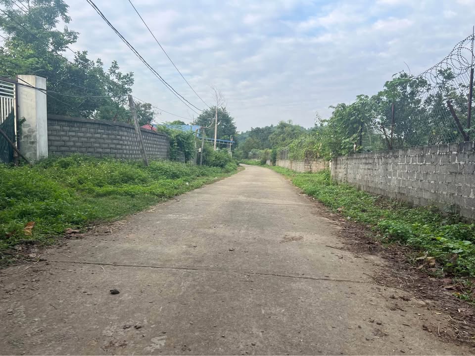 Đất nền Cư Yên, Lương Sơn, Hòa Bình 2.300m² - Đầu tư sinh lời ngay!