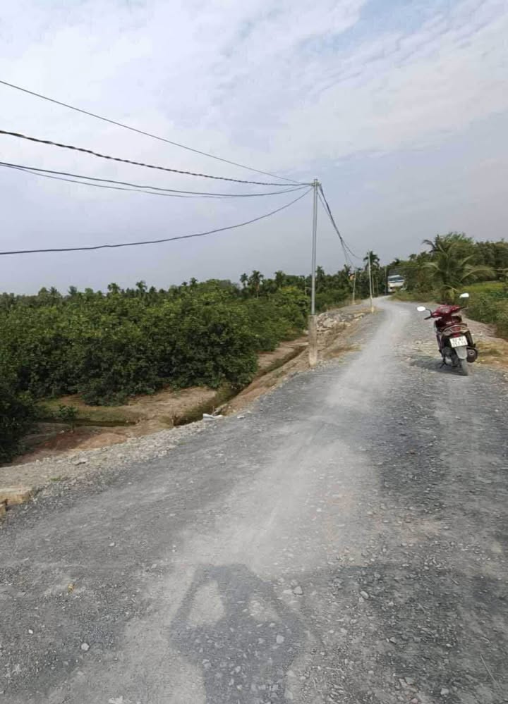 Đất Farm Thạnh Hoà Bến Lức 2300m² giá 2.4 tỷ - View kênh lớn, mát mẻ quanh năm!