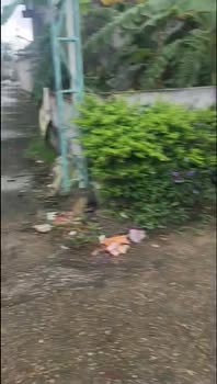 Đất thổ cư Tân Long, Định Tân 530m² giá chỉ 1.9 tỷ - Đầu tư sinh lời hấp dẫn!