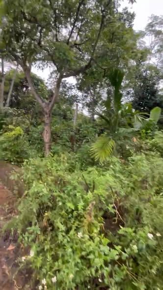 Lô đất Farm 922m² tại Sơn Đà, Ba Vì giá 1.9 tỷ - Đầu tư sinh lời hấp dẫn!