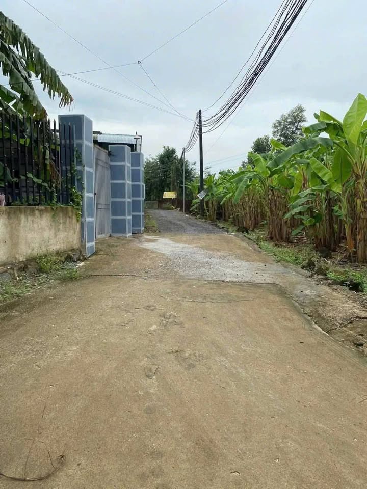 Nhà giá rẻ 120m² tại ấp 3 Vĩnh Tân, Đồng Nai - Chỉ 390 triệu!