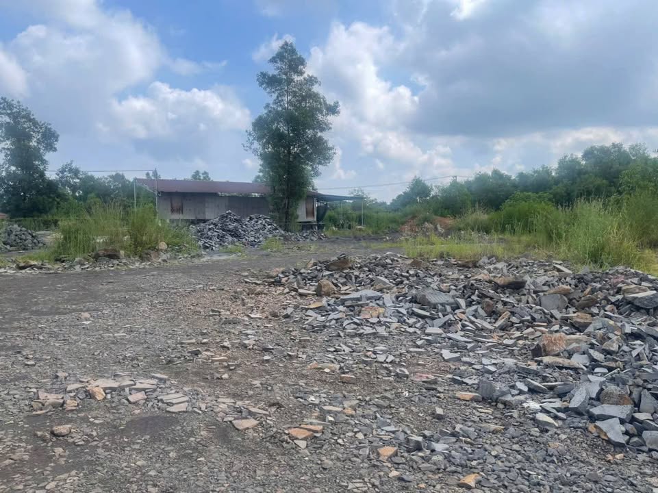 Đất 720m² mặt tiền đường đá mi, Thiện Tân, Vĩnh Cửu - Giá chỉ 3.5 tỷ thương lượng!