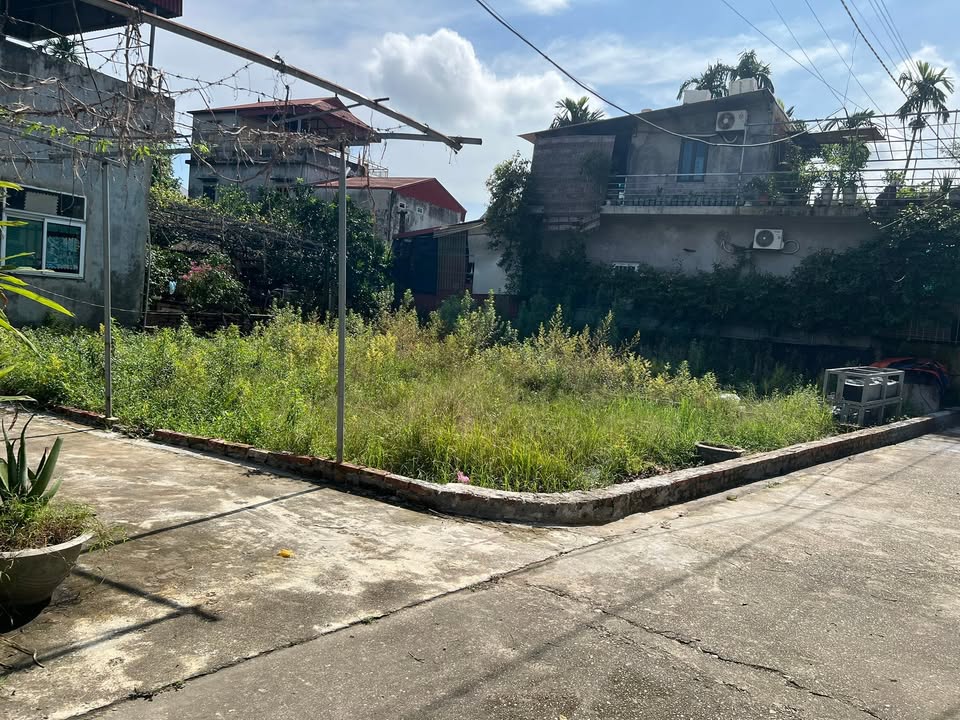 Đất thổ cư 101m² sát nhà văn hóa Bắc Thượng, Sóc Sơn - Đường 4m, giá tốt thương lượng!