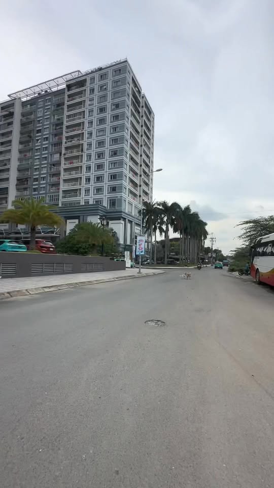 Đất nền lô góc đường Số 11, Thủ Đức 100m² giá 10 tỷ - Vị trí đẹp, chính chủ!