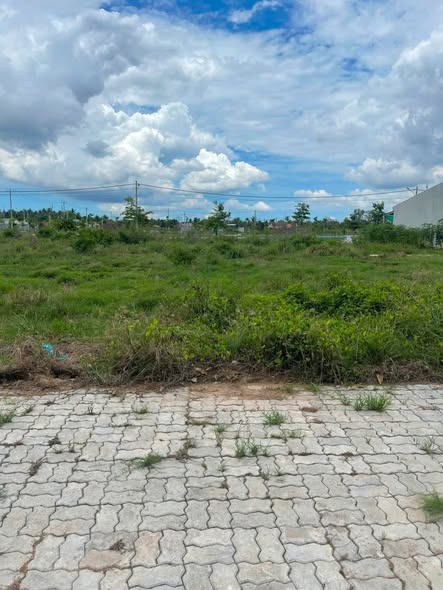 Đất nền liền kề Phú Thuận, Bình Đại, Bến Tre 240m² giá 1.28 tỷ - Cơ hội đầu tư tuyệt vời!