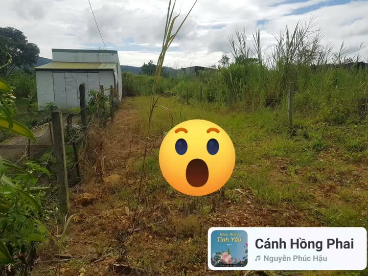 Bán đất thôn 7 - Đại Lào Cũ 177m² giá 950 triệu - Tiện ích đầy đủ, dễ dàng sinh sống!